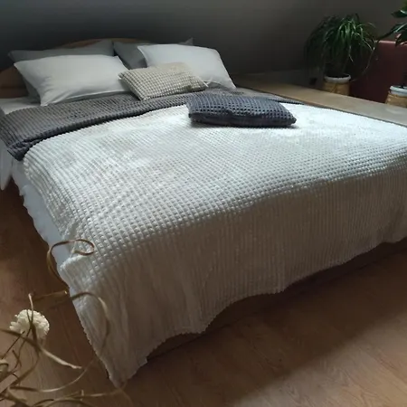סמוקוב Altavista Mountain Apartment חדר תמונה
